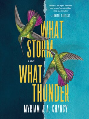 cover image of What Storm, What Thunder